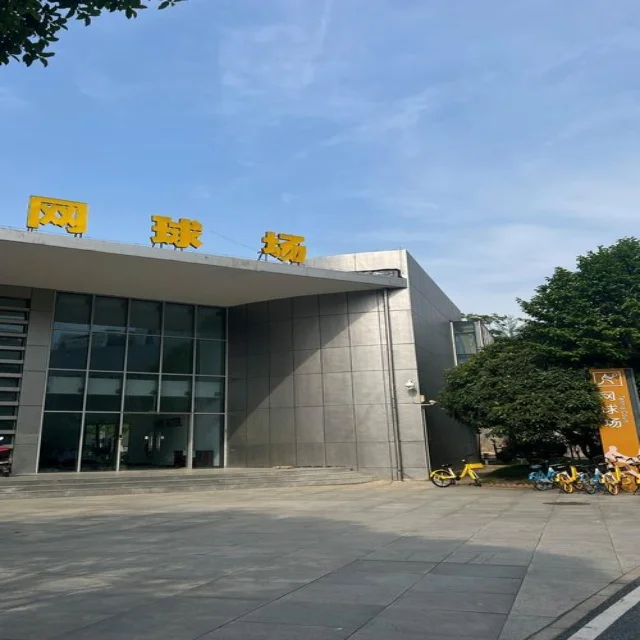 汤尤杯备战关键策略揭秘，国羽全力冲刺新荣耀